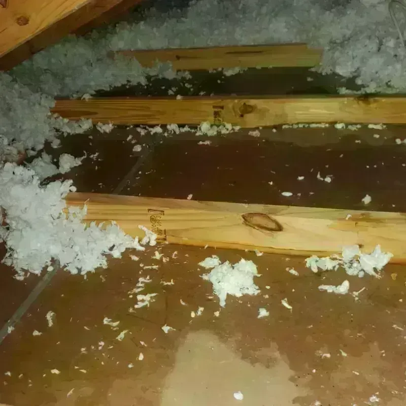 Attic Water Damage in Milpitas, CA