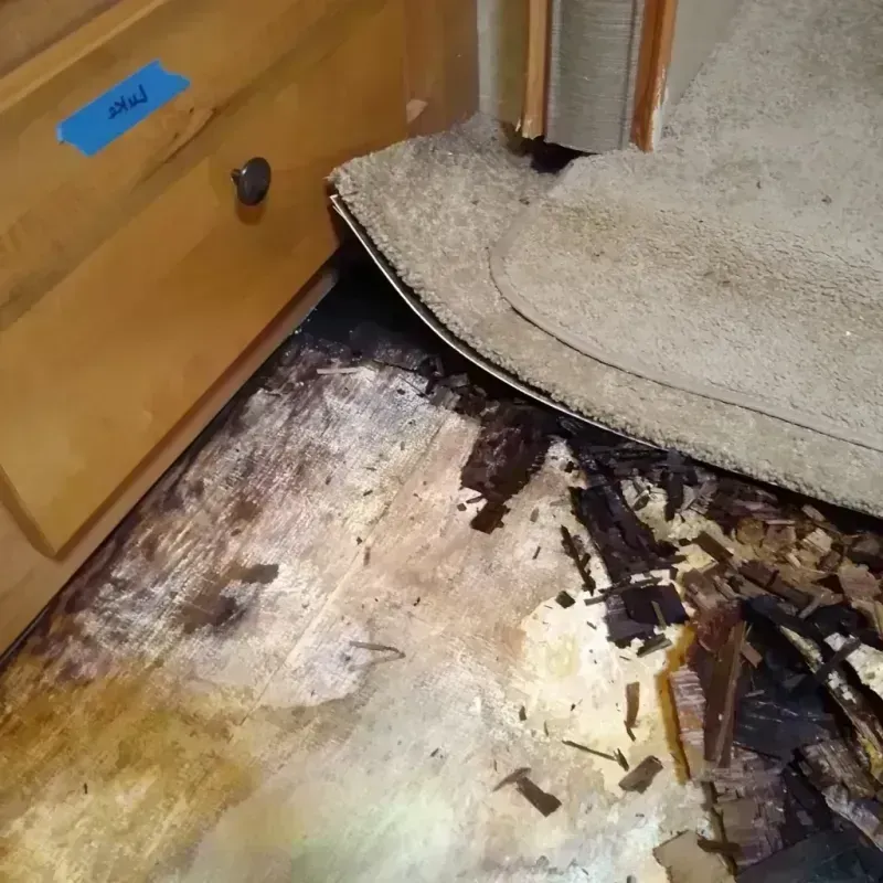 Wood Floor Water Damage in Milpitas, CA